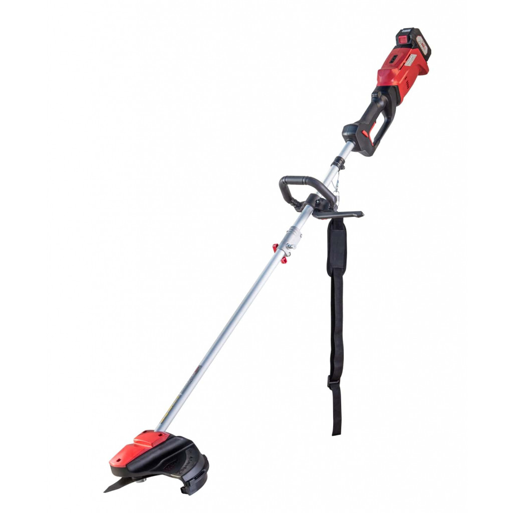 R20 Коса безчеткова акум. 300mm 20V 2Ah 1h RAIDER PRO RDP-SBBC20 Set – Raider Garden Tools – снимка 1