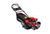 Косачка бенз.самоход 2.5kW (3.4hp) 46cm 18" 60L 4в1 RAIDER RD-GLM08 thumbnail