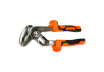 Cleste papagal 250mm GD thumbnail