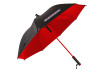 Umbrella Raider thumbnail