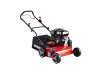 Gasoline Scarifier 2in1 4kW (5.5hp) 42cm 17" 45L RD-GSC03 thumbnail