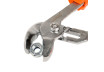 Cleste papagal 250mm GD thumbnail