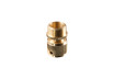Conector &frac34;&rdquo; alama filet exterior TG thumbnail