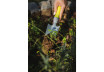 Hand Narrow trowel CLASSIC GX thumbnail