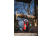Submersible Pump&nbsp; 900W 1" 250L/min 8,5m 35mm RD-WP68 thumbnail