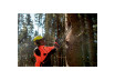 MS 36-18 LTX BL 40 Cordless chain saw thumbnail