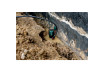 Submersible sewage pump SP 120-35 S thumbnail