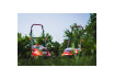 R20 Brushless Cordless Lawn Mower 37cm 35L Solo RDP-BCLM20 thumbnail
