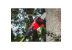 R20 Fierastrau crengi 200mm SDS 3/8"1.3mm 2Ah 3m RDP-PS20 thumbnail