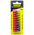 product-set-biti-torx-ts8-tmp-thumb