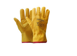 product-universal-gloves-pg06-tmp-thumb