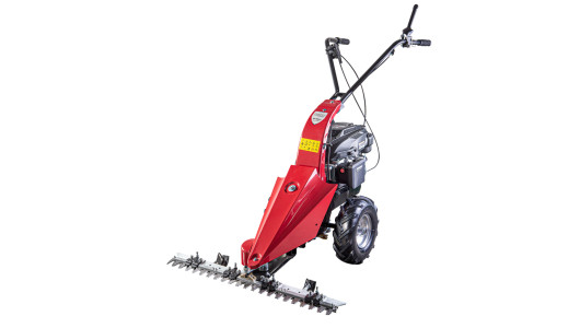 Motocositoare 174 cc 3kW(4hp) 87cm RD-SBM02 image