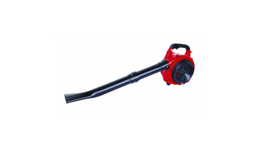 Листосъбирач бензинов 750W 30L RAIDER RD-GBV05 image