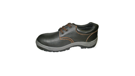 Pantofi de protectie TS-SHO 001 marimea 46 image