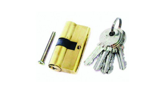 Cylinder 60mm with 6 keys TS image