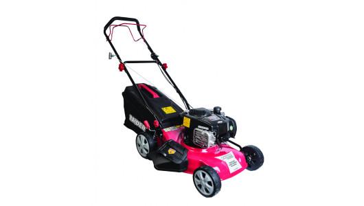 Косачка бенз. самоход B&S 125cc 1.7kW 46cm 60L 4в1 RAIDER RD-GLM05W image