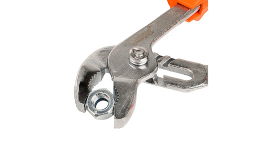Cleste papagal 250mm GD image