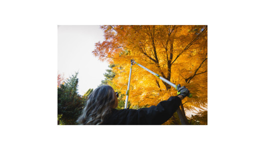 Foarfeca pentru crengi LS01 cu m&acirc;nere telescopice GX image