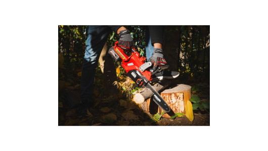 R20 Cordless Chain Saw 250mm (10) SDS 20V 3Ah RDP-SCHS20 Set image