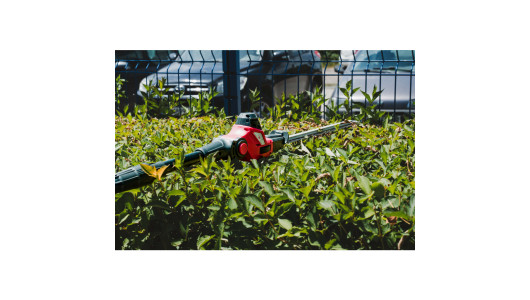 R20 Cordless Pole saw & Hedge Trimmer 2in1 2Ah 3m RDP-PSHT20 image