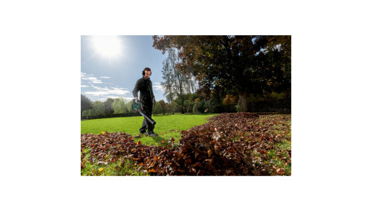 LB 18 LTX BL * Cordless Leaf Blower image