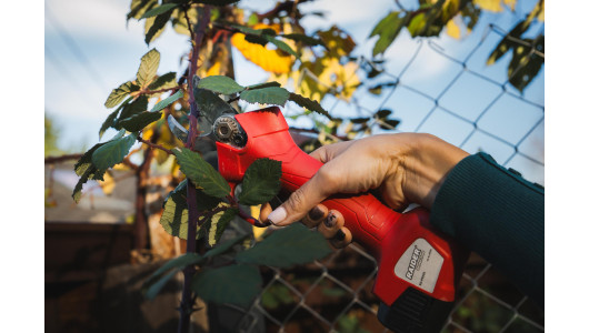 Cordless BL Pruning Shears 16V 2x2Ah 25mm Case RD-PSH02 image