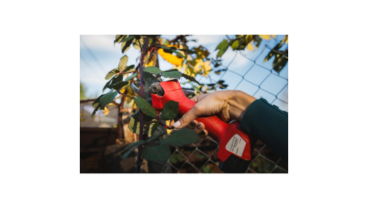 Cordless BL Pruning Shears 16V 2x2Ah 25mm Case RD-PSH02 image