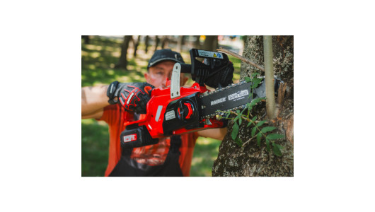 R20 Резачка акум. 250mm 20V 3Ah 1h RAIDER PRO RDP-SCHS20 Set image