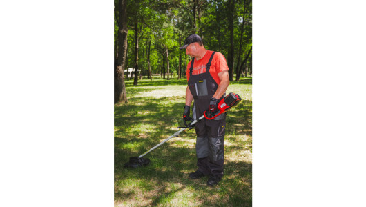 R20 Trimmer electric brushless 40V 4in1 RDP-BCPSHT20 image