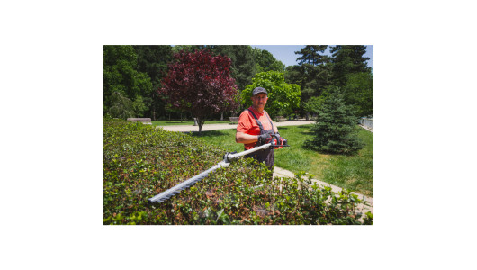 R20 Brushless Cordless Brush Cutter 40V 4in1 RDP-BCPSHT20 image